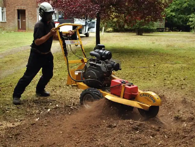 tree services Crestmont